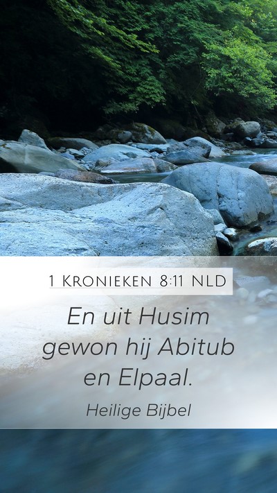 1 Kronieken 8:11 NLD Mobile Phone Wallpaper - En uit Husim gewon hij Abitub en - Mobile Bible Verse Wallpaper