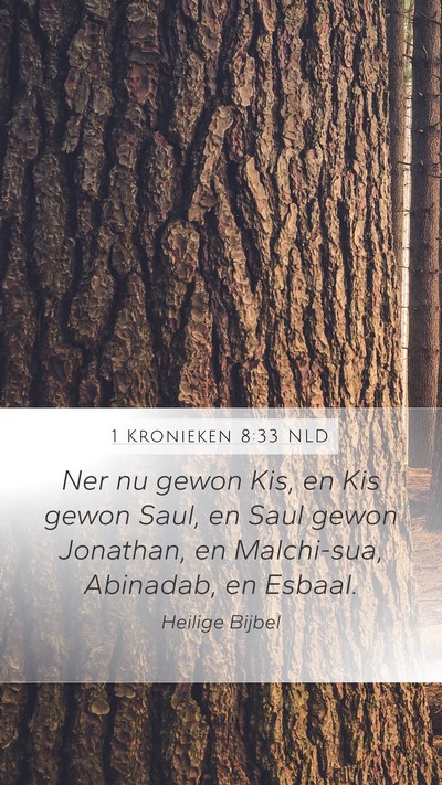 1 Kronieken 8:33 NLD Bible Verse Image