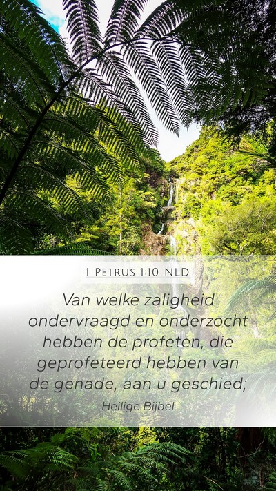 1 Petrus 1:10 NLD Bible Verse Image