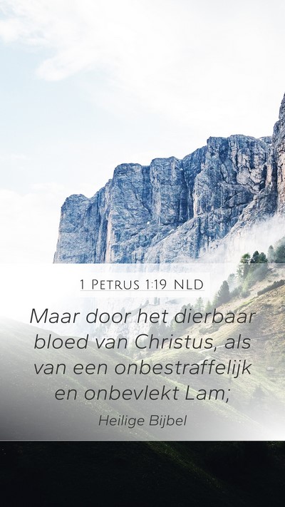 1 Petrus 1:19 NLD Bible Verse Image