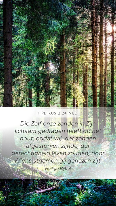 1 Petrus 2:24 NLD Bible Verse Image