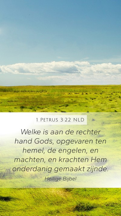 1 Petrus 3:22 NLD Bible Verse Image