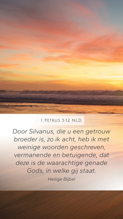 1 Petrus 5:12 NLD Bible Verse Image