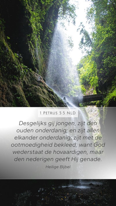 1 Petrus 5:5 NLD Bible Verse Image