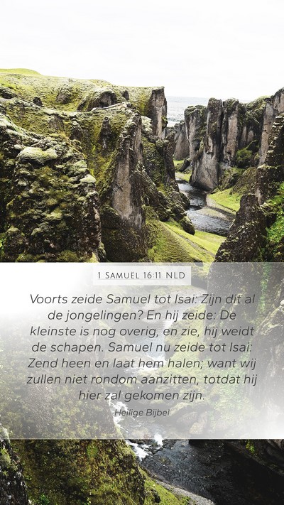 1 Samuël 16:11 NLD Bible Verse Image