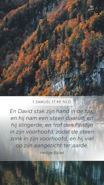 1 Samuël 17:49 NLD Bible Verse Image