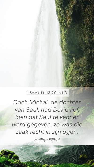 1 Samuël 18:20 NLD Bible Verse Image