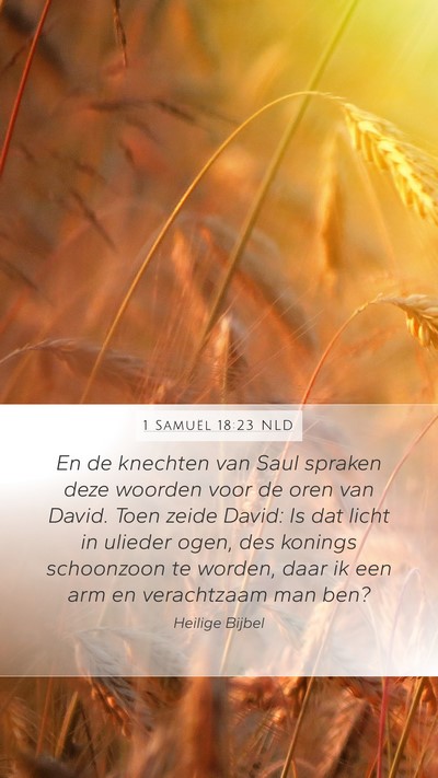1 Samuël 18:23 NLD Bible Verse Image