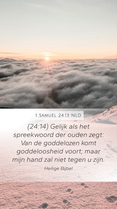 1 Samuël 24:13 NLD Bible Verse Image