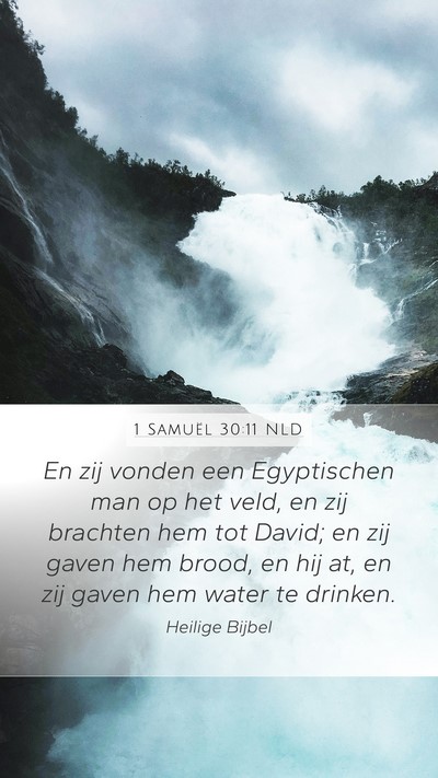1 Samuël 30:11 NLD Bible Verse Image