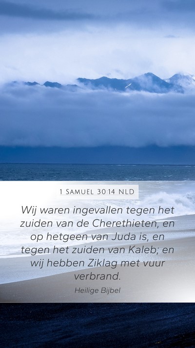 1 Samuël 30:14 NLD Bible Verse Image