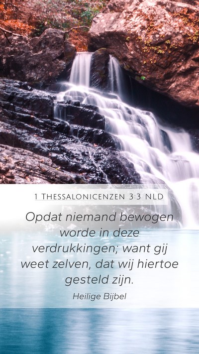 1 Thessalonicenzen 3:3 NLD Bible Verse Image
