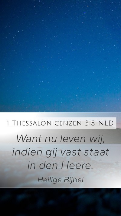 1 Thessalonicenzen 3:8 NLD Bible Verse Image