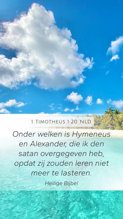 1 Timotheüs 1:20 NLD Bible Verse Image