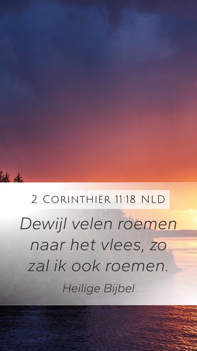 2 Corinthiër 11:18 NLD Bible Verse Image