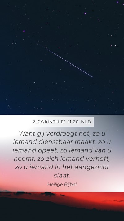 2 Corinthiër 11:20 NLD Bible Verse Image