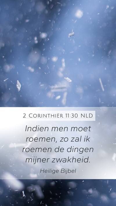 2 Corinthiër 11:30 NLD Bible Verse Image