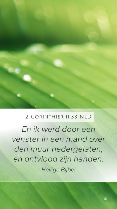 2 Corinthiër 11:33 NLD Bible Verse Image