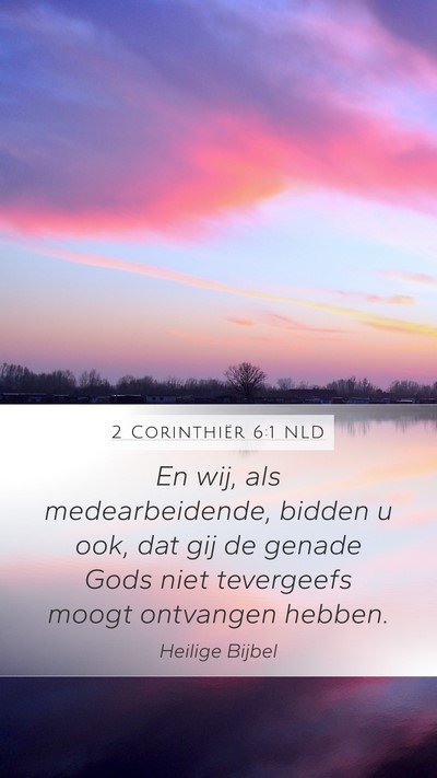 2 Corinthiër 6:1 NLD Bible Verse Image