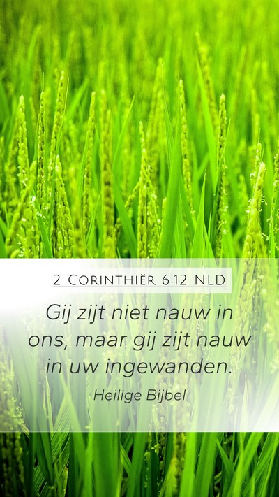 2 Corinthiër 6:12 NLD Bible Verse Image
