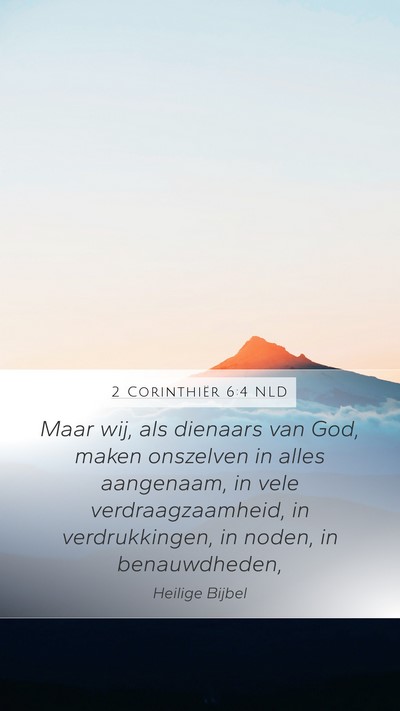 2 Corinthiër 6:4 NLD Bible Verse Image