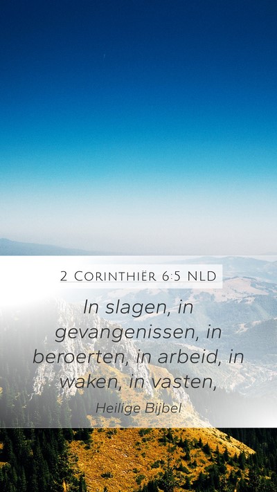 2 Corinthiër 6:5 NLD Bible Verse Image
