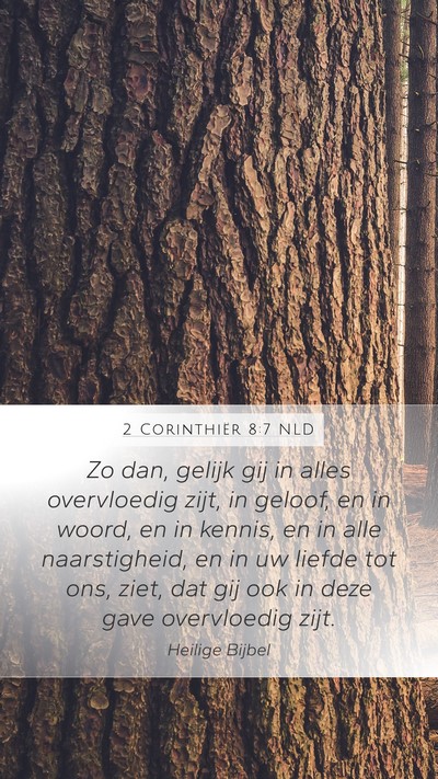 2 Corinthiër 8:7 NLD Bible Verse Image