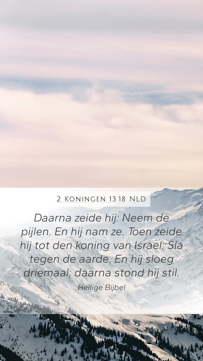 2 Koningen 13:18 NLD Bible Verse Image
