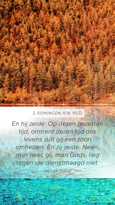 2 Koningen 4:16 NLD Bible Verse Image