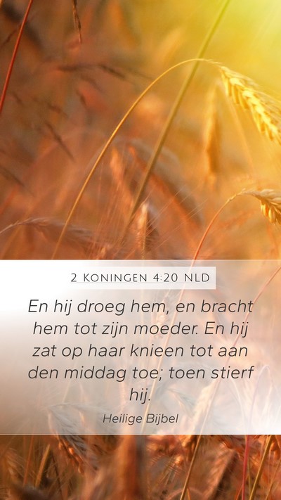 2 Koningen 4:20 NLD Bible Verse Image