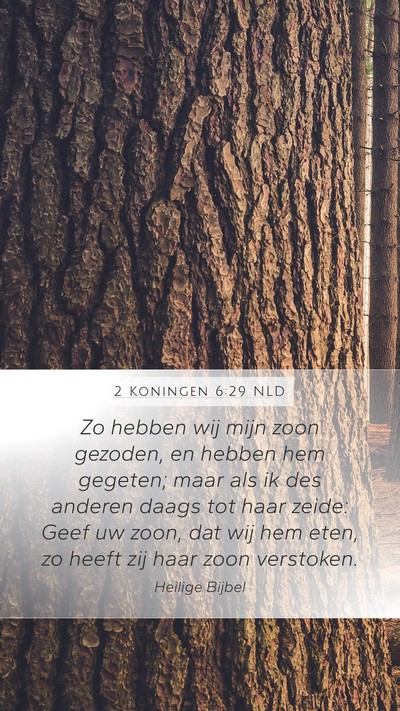 2 Koningen 6:29 NLD Mobile Phone Wallpaper - Zo hebben wij mijn zoon gezoden, en hebben hem - Mobile Bible Verse Wallpaper