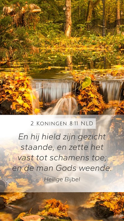 2 Koningen 8:11 NLD Bible Verse Image