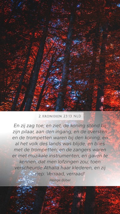 2 Kronieken 23:13 NLD Bible Verse Image