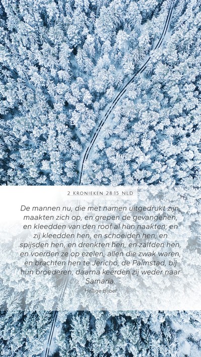 2 Kronieken 28:15 NLD Bible Verse Image