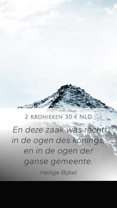 2 Kronieken 30:4 NLD Bible Verse Image