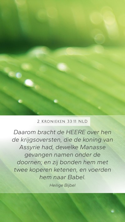 2 Kronieken 33:11 NLD Bible Verse Image