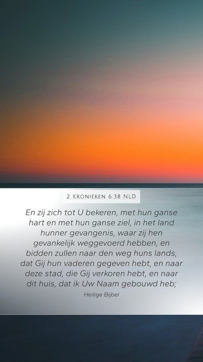 2 Kronieken 6:38 NLD Bible Verse Image