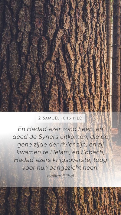 2 Samuël 10:16 NLD Bible Verse Image