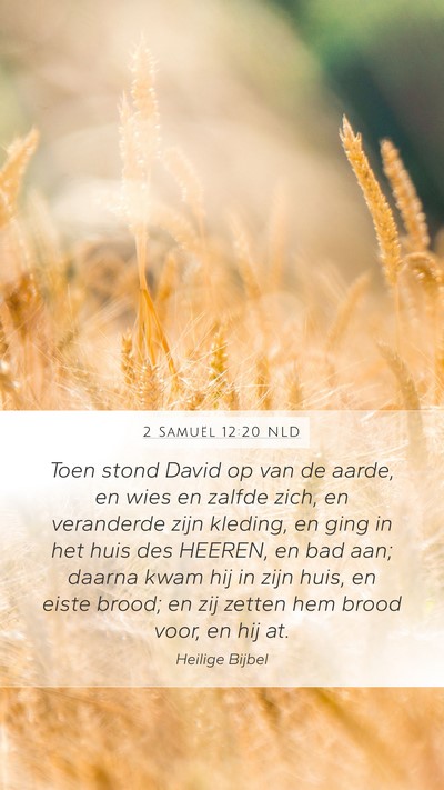 2 Samuël 12:20 NLD Bible Verse Image