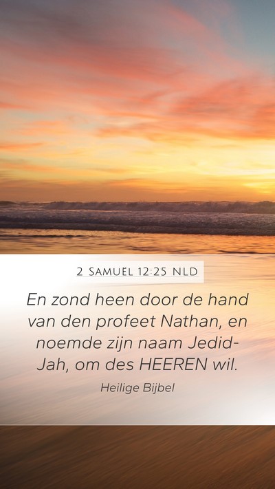 2 Samuël 12:25 NLD Bible Verse Image
