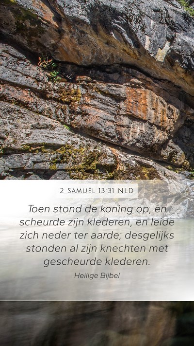 2 Samuël 13:31 NLD Bible Verse Image