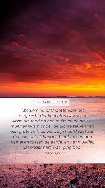 2 Samuël 18:9 NLD Bible Verse Image