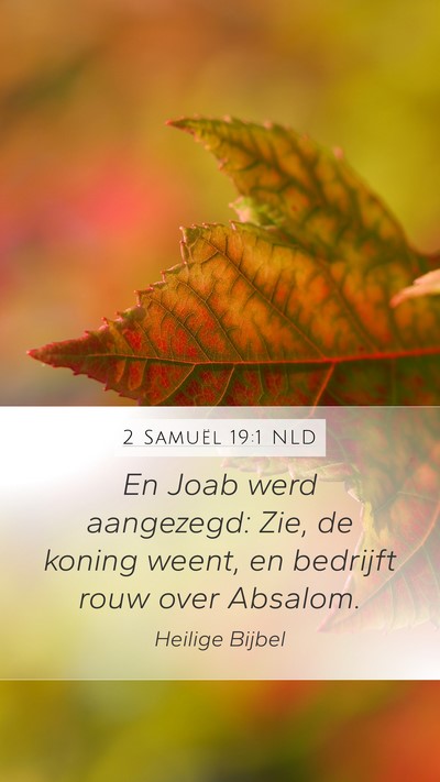2 Samuël 19:1 NLD Mobile Phone Wallpaper - En Joab werd aangezegd: Zie, de koning weent, en - Mobile Bible Verse Wallpaper