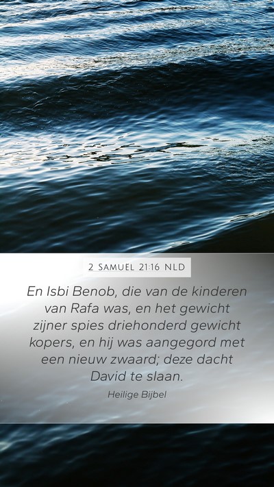 2 Samuël 21:16 NLD Bible Verse Image
