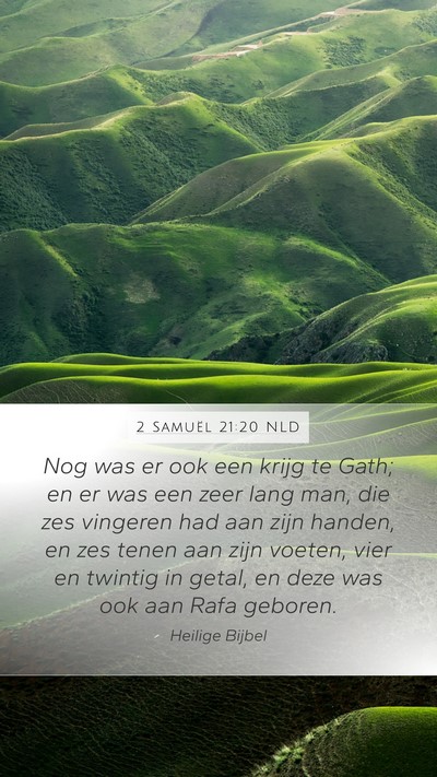 2 Samuël 21:20 NLD Bible Verse Image