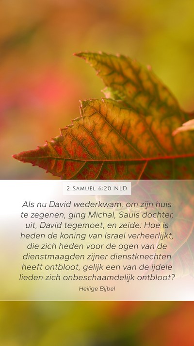 2 Samuël 6:20 NLD Bible Verse Image