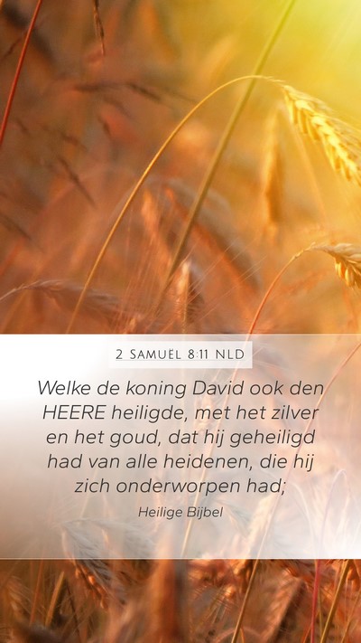 2 Samuël 8:11 NLD Bible Verse Image