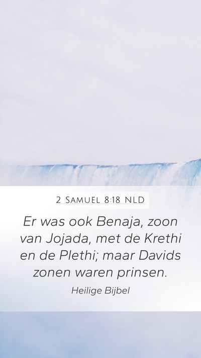 2 Samuël 8:18 NLD Bible Verse Image