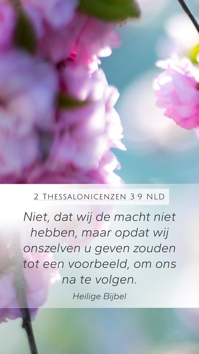 2 Thessalonicenzen 3:9 NLD Bible Verse Image