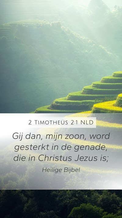 2 Timotheüs 2:1 NLD Mobile Phone Wallpaper - Gij dan, mijn zoon, word gesterkt in de genade, - Mobile Bible Verse Wallpaper